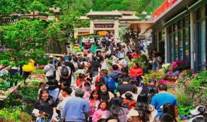 2023上半年旅游數(shù)據(jù)大盤點(diǎn)